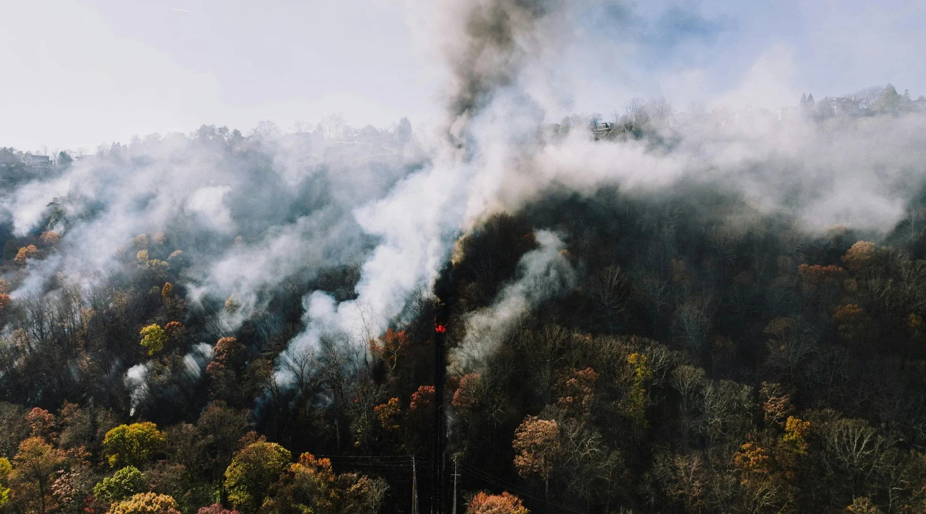 How Fast Can Wildfires Spread? All About Fire Spread Rate