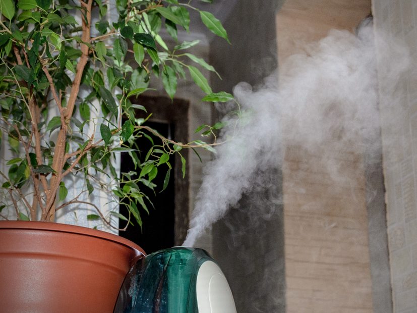 humidifier for allergies
