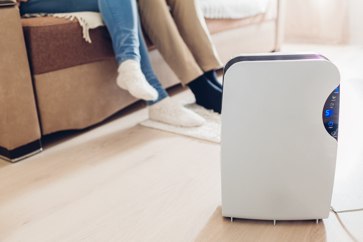 Air purifier and humidifier device near people on couch