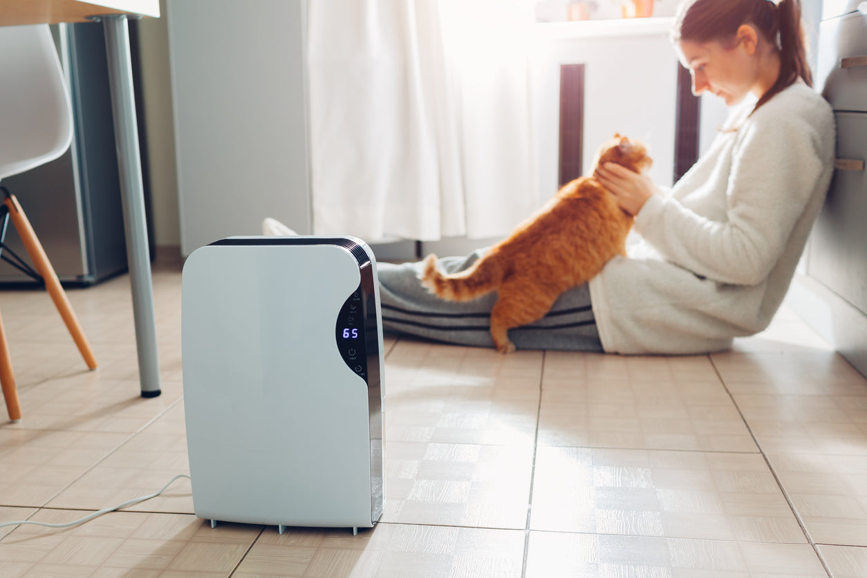 Air Purifier for Pet Odor, No more worry about the pet odor