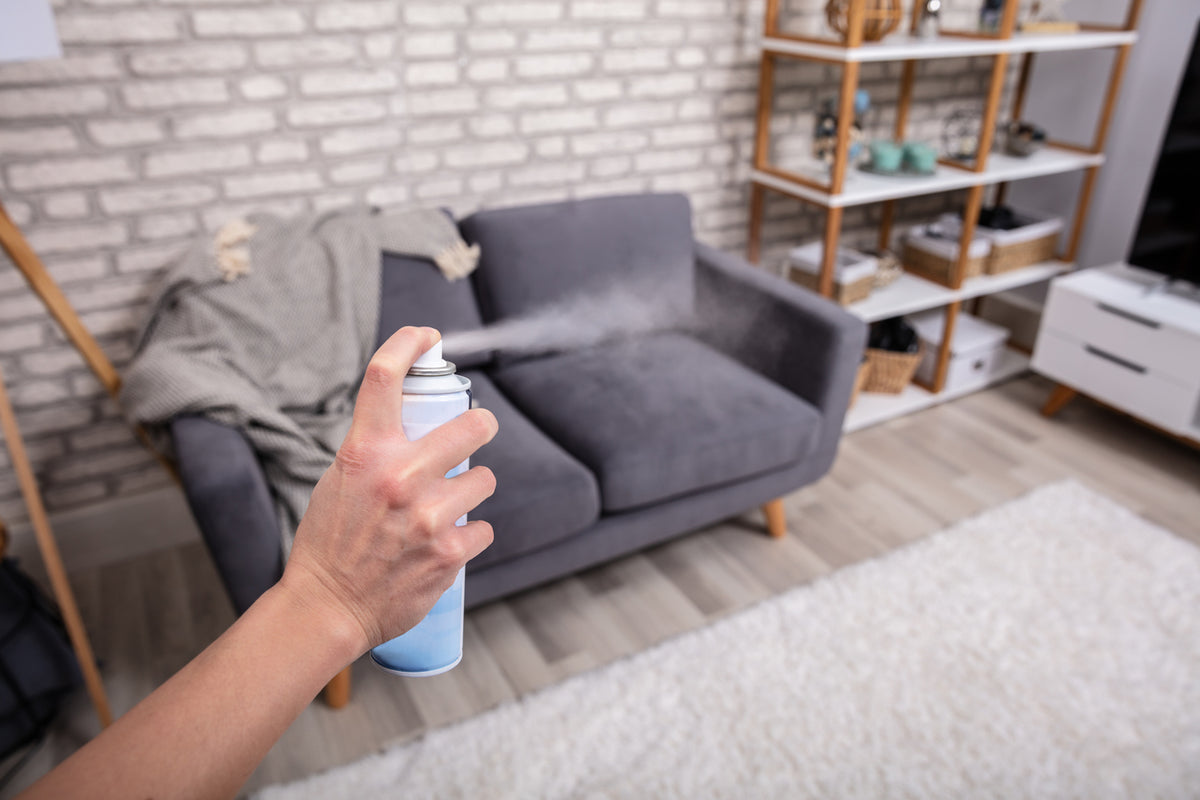 Can Ozone Generators Remove or Control Odors? Molekule