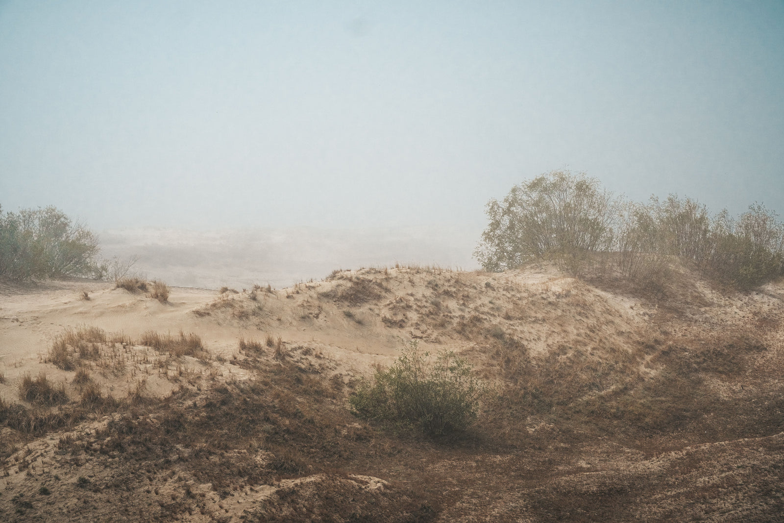 Saharan Dust Forecast