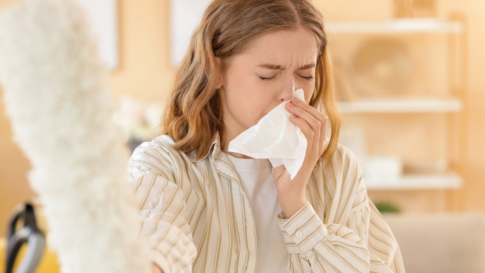 Seasonal Dust Allergy Tips: Cleaning and Prevention