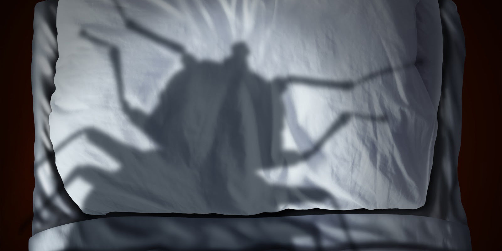 Enlarged shadow of a bed bug on a bed