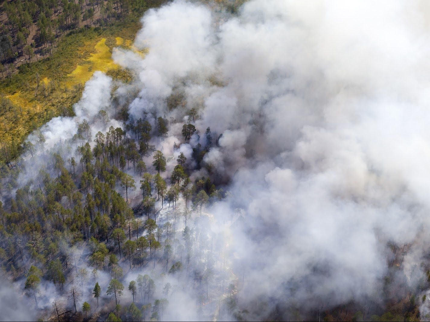 An overhead shot of a burning forest