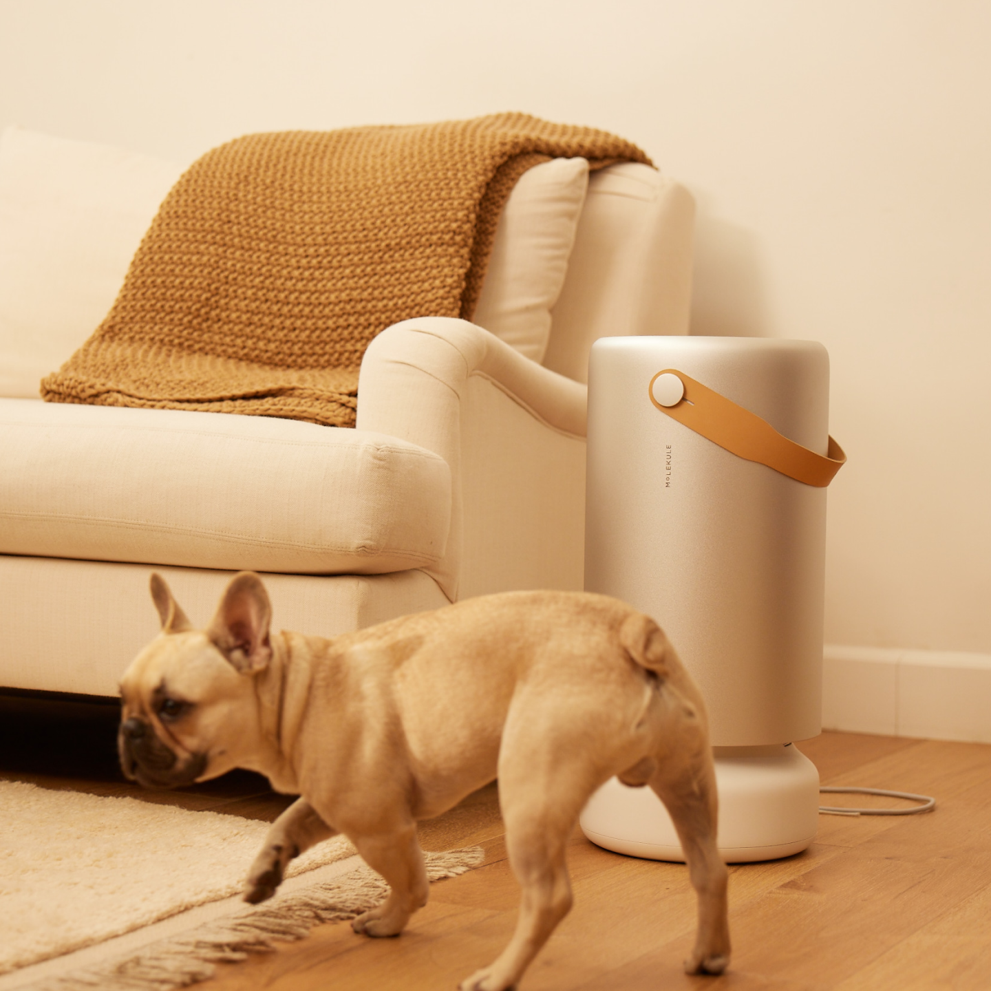 Dog walking in front of a Molekule Air Pro air purifier