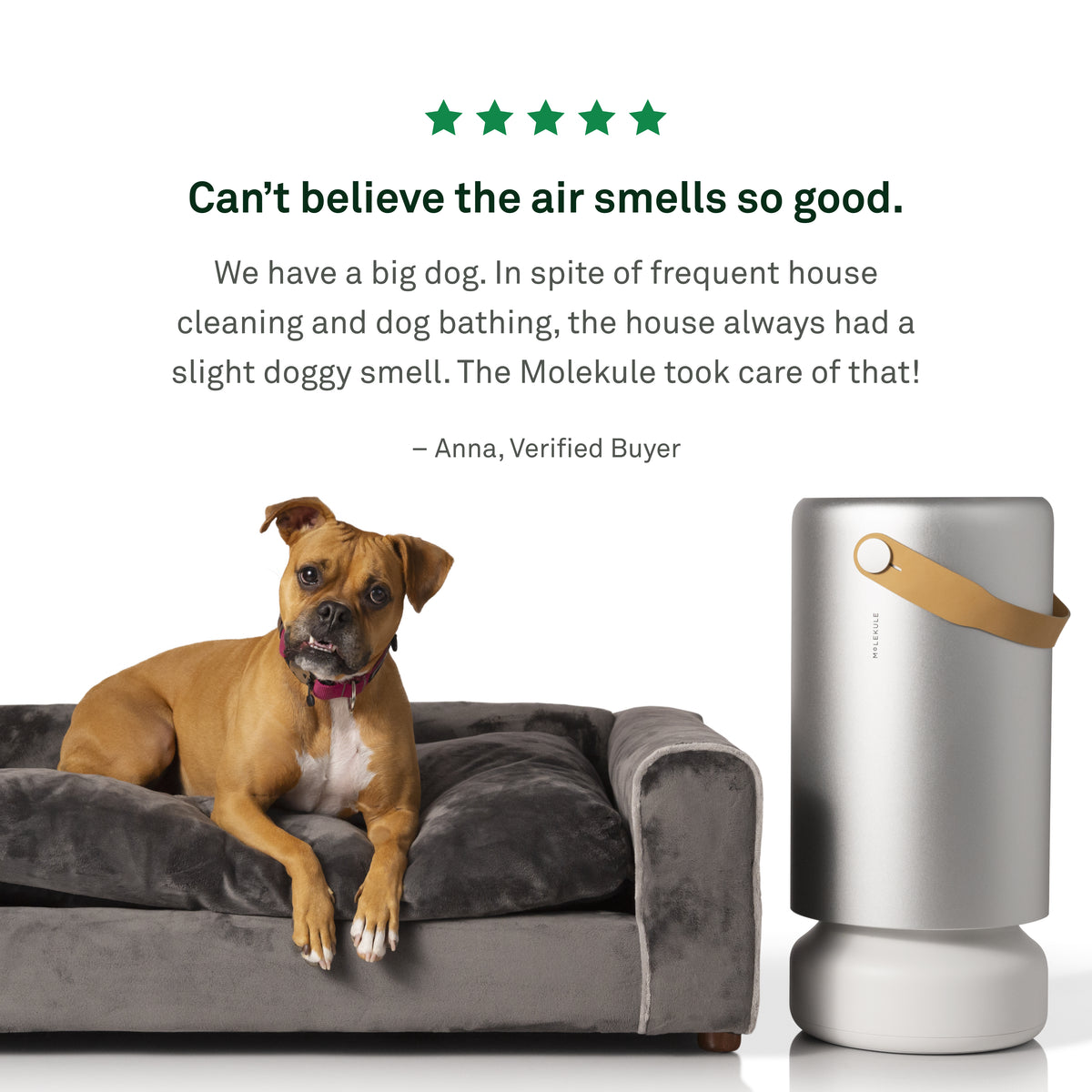 Air Pro with PECO-HEPA Tri-Power filter