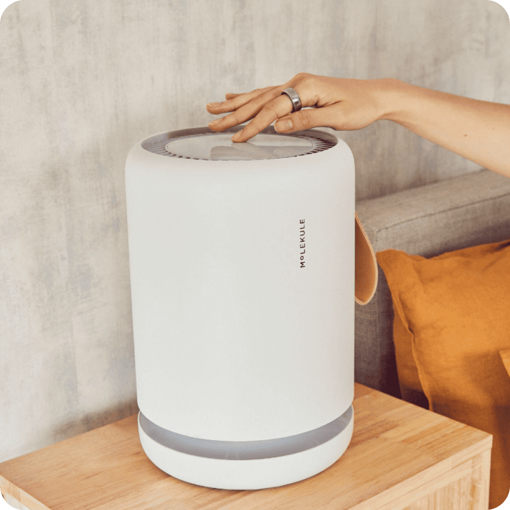 Molekule air purifier online canada