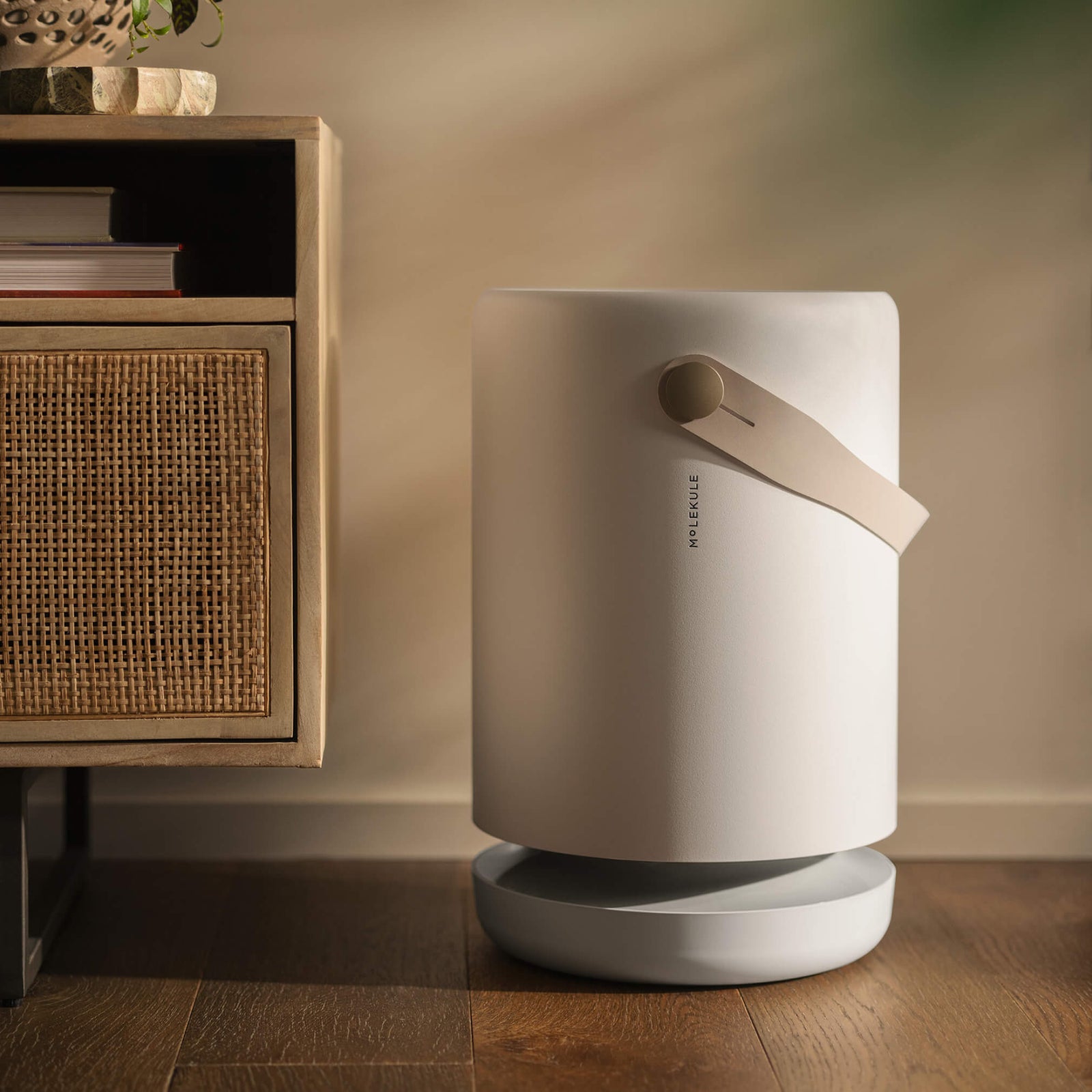 PECOAir Purifier