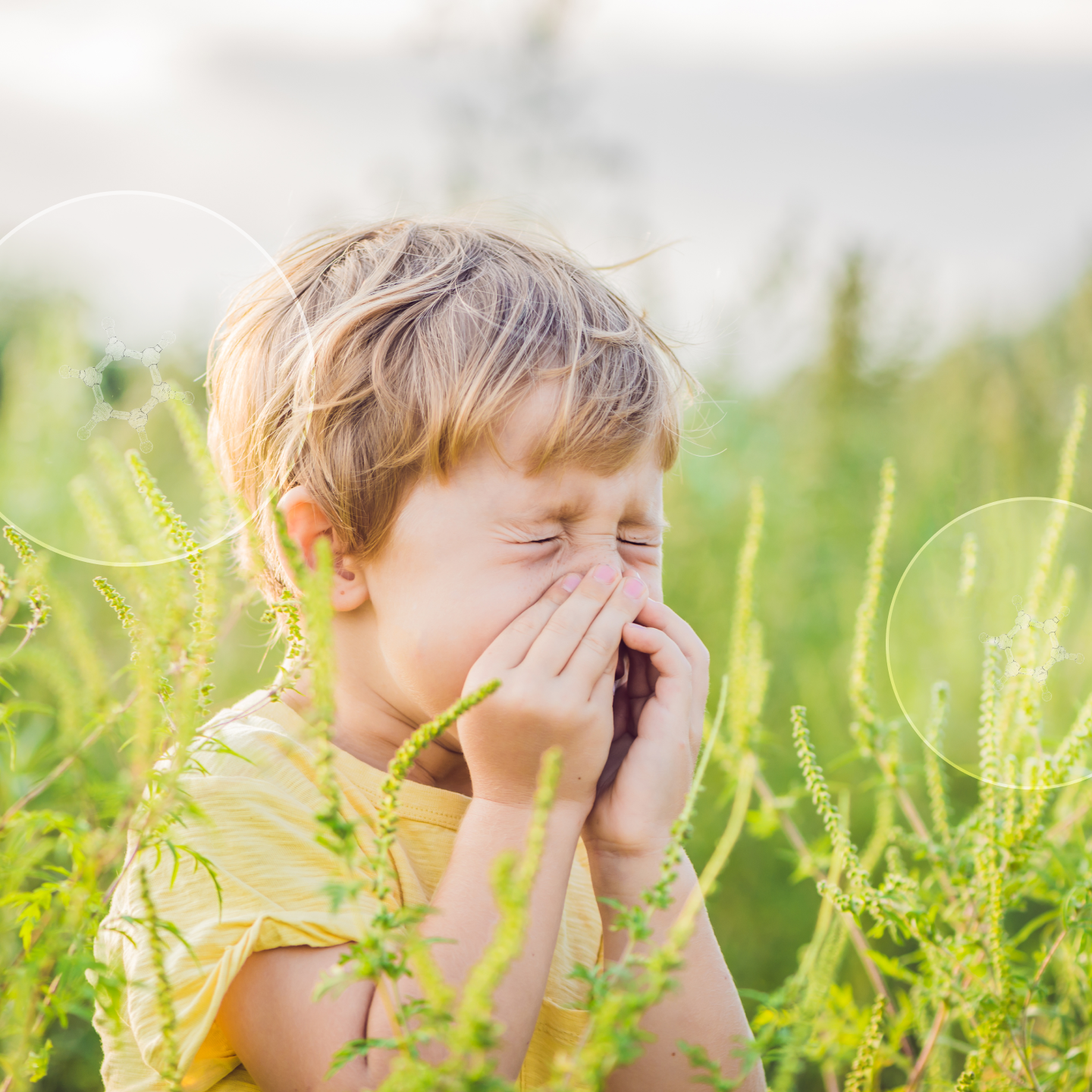 Child sneezing in a field of weeds