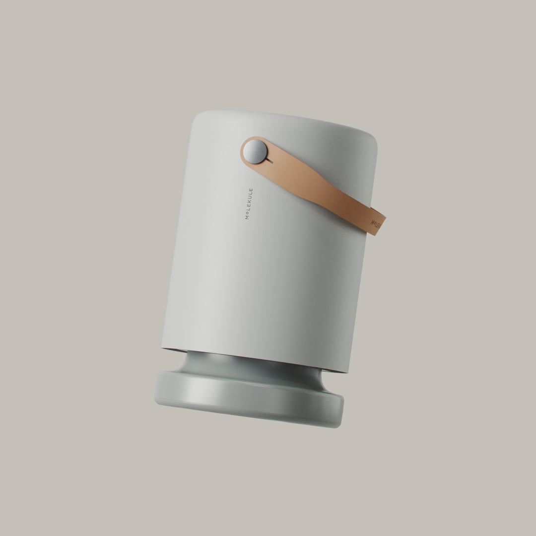 Molekule PECOAir 3D view in Fog