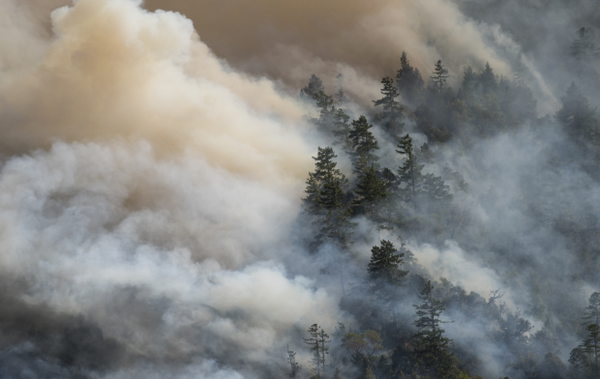 What Is Relative Humidity & How is it Measured? - Molekule