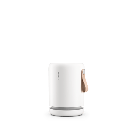 Molekule air purifier discount canada