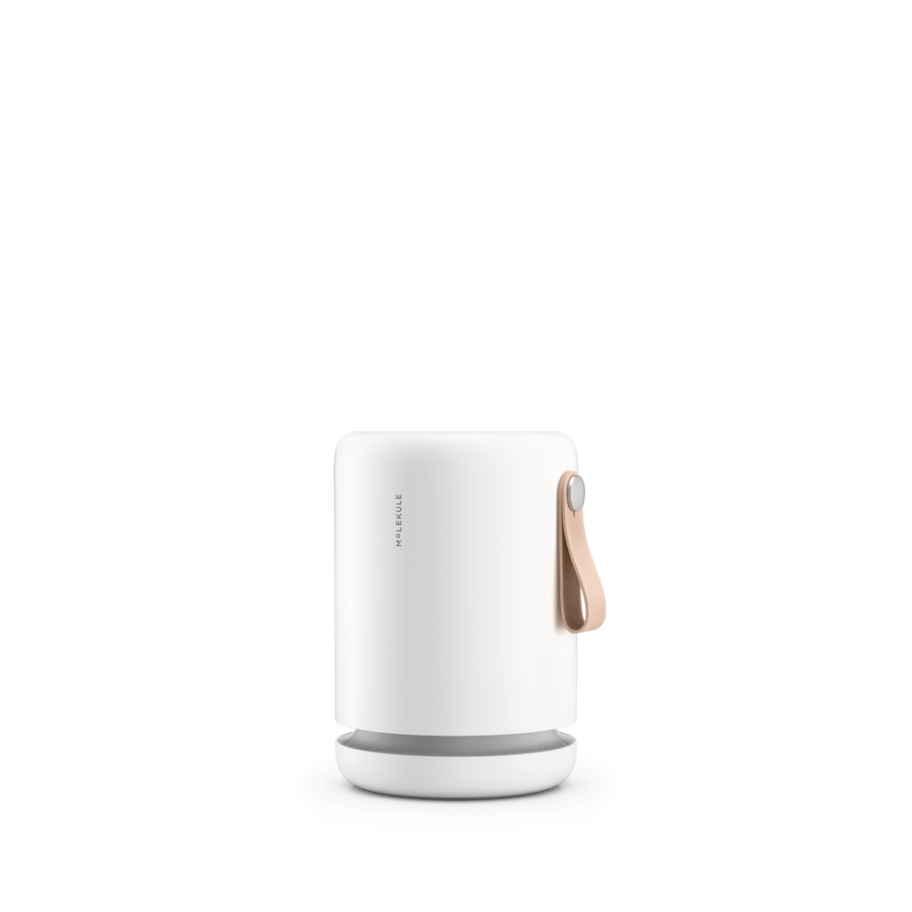 Molekule offers mini